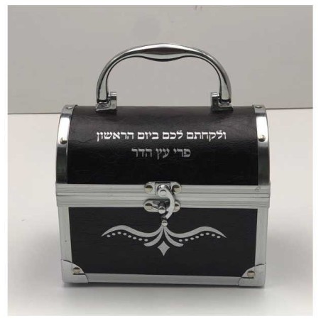 Hard Treasure Chest Etrog Box | Sukkot | Judaica