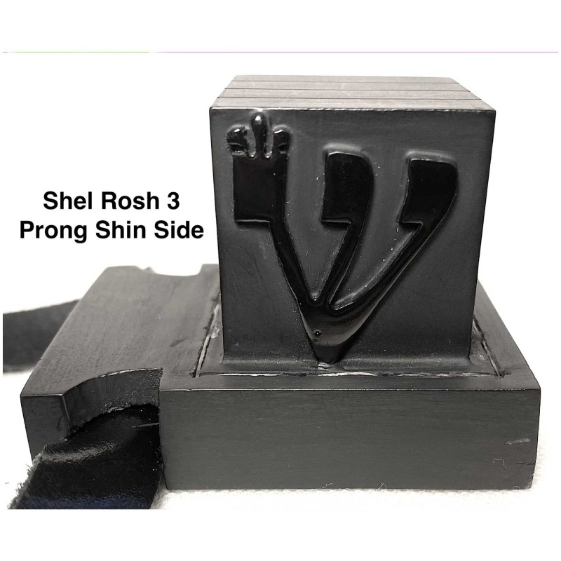 Tefillin with Ashkenaz/Arizal Script | Tefillin & Accessories | Judaic