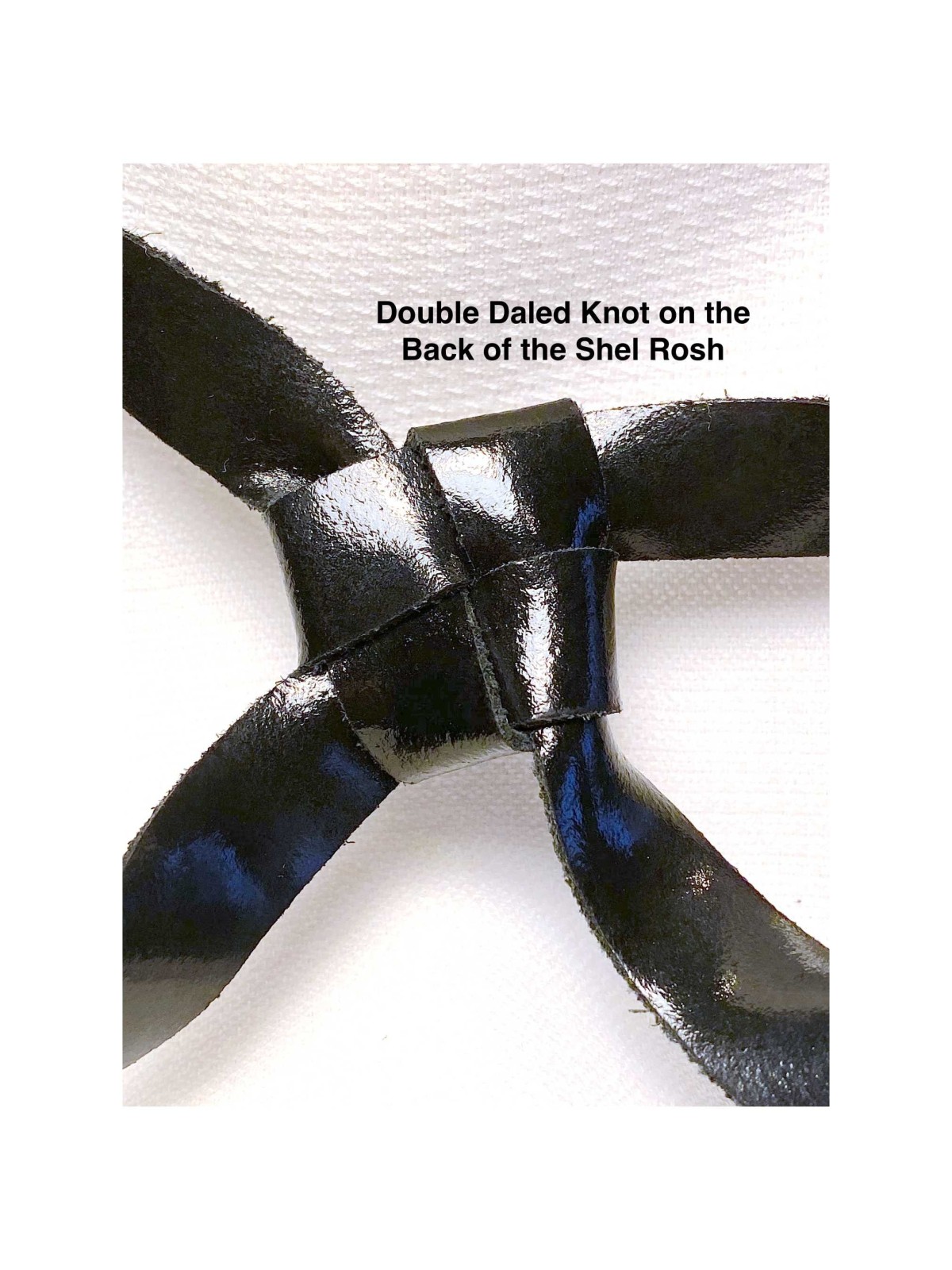 Tefillin with Ashkenaz/Arizal Script | Tefillin & Accessories | Judaic