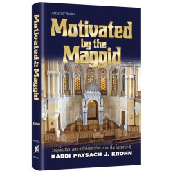 Motivated By The Maggid | Books | Judaica