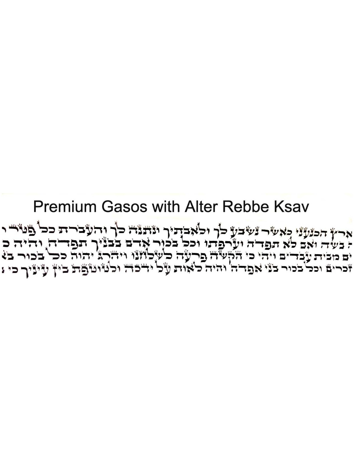 Tefillin - Ashkenaz Chabad Size with Alter Rebbe S | Tefillin & Access