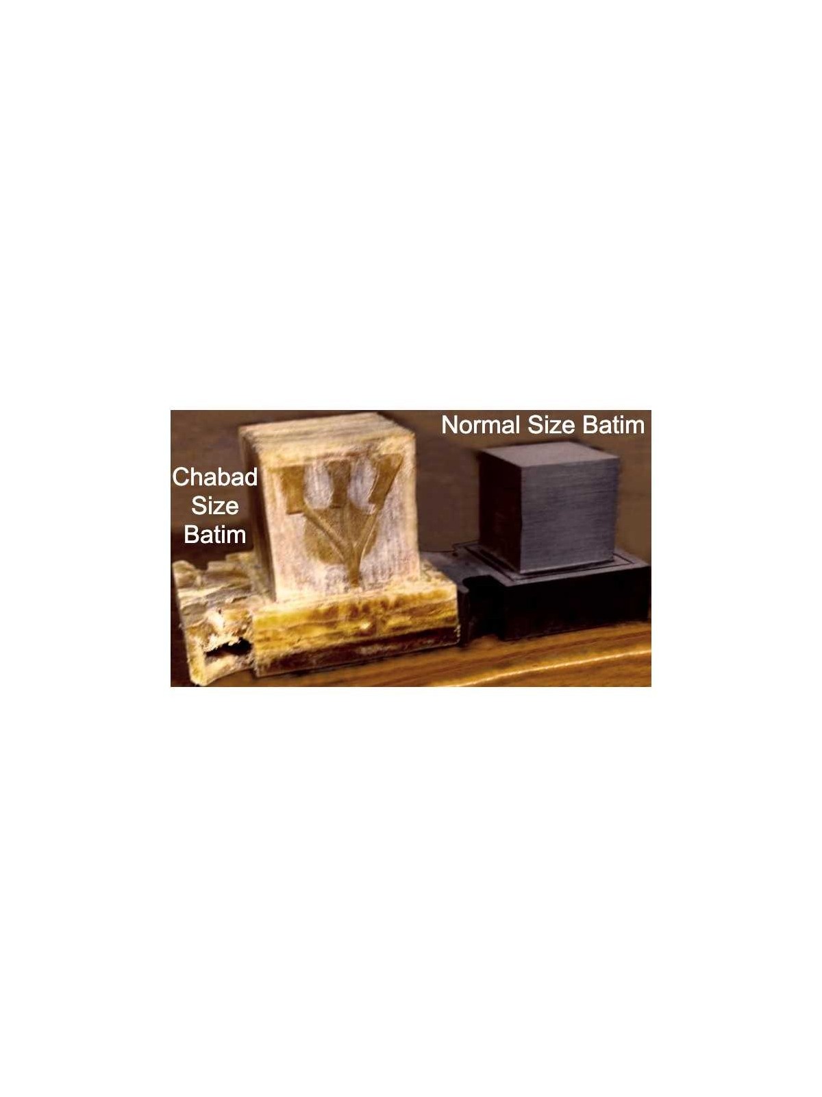 Tefillin - Ashkenaz Chabad Size with Alter Rebbe S | Tefillin & Access