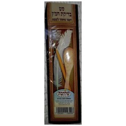 Bedikas Chometz Set | All Judaica | Judaica