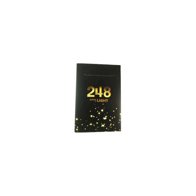 248 Points of Light (Wilhelm) | Books | Judaica
