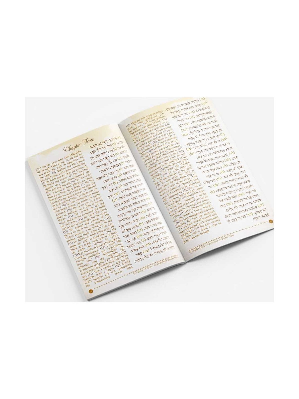 Eicha | Books | Judaica