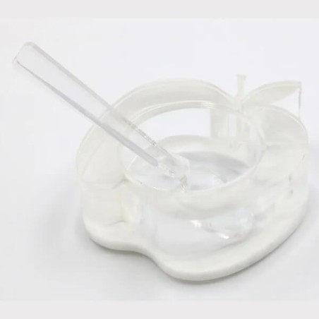 Lucite Apple Shaped Honey Dish with Spoon | Rosh Hashanah | Judaica