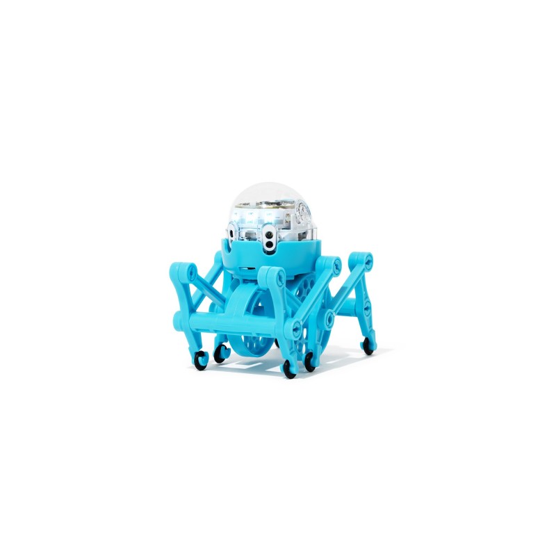 Chenille Ozobot | Tout Judaïca | Judaïca