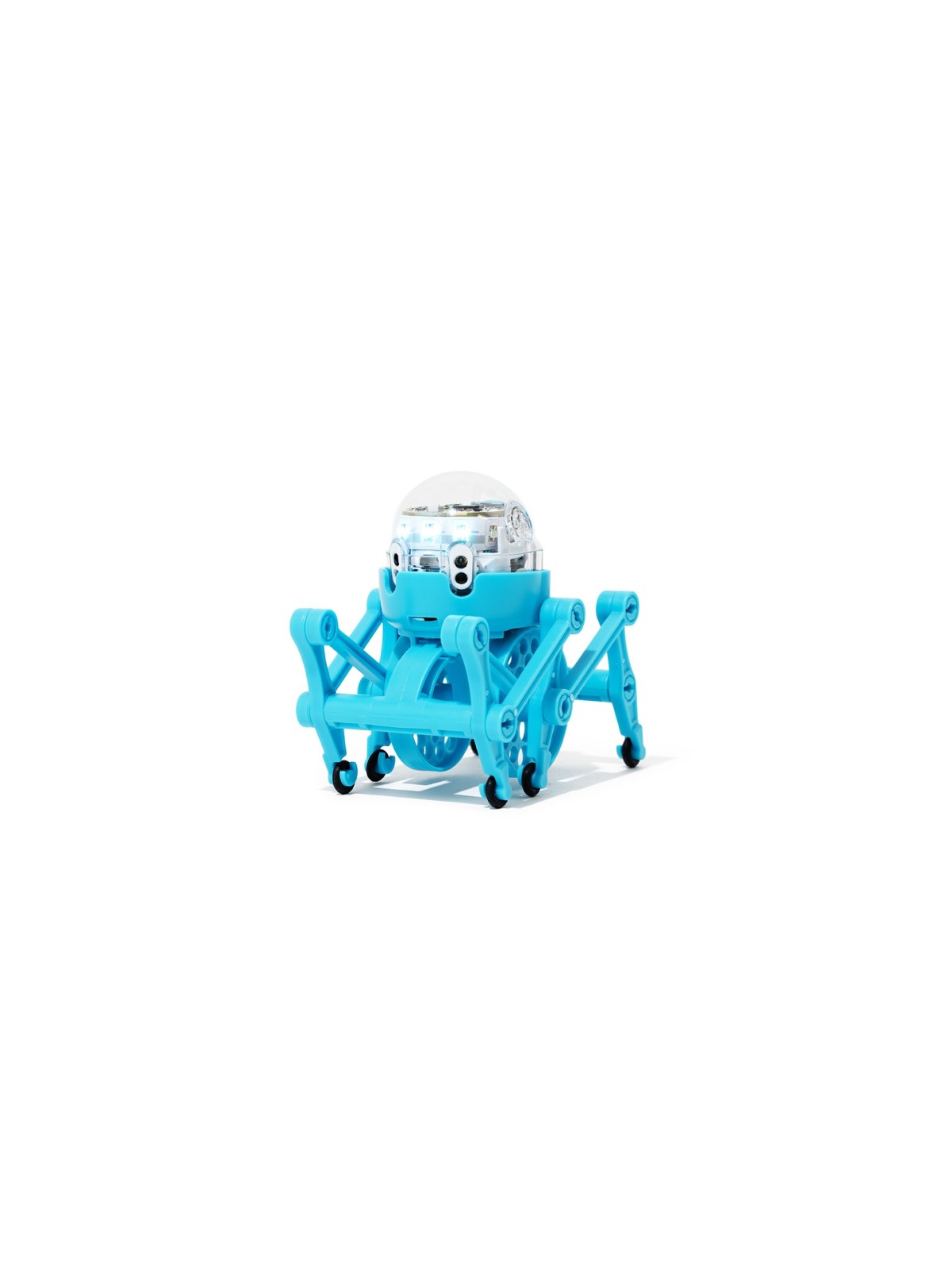 Ozobot Crawler | כל יודאיקה | יוּדָאִיקָה