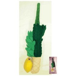 Ensemble de jeu en peluche Loulav et Etrog | Souccot | Judaïca
