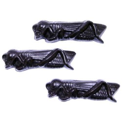 Kosher for Passover Chocolate Locusts | Passover | Judaica