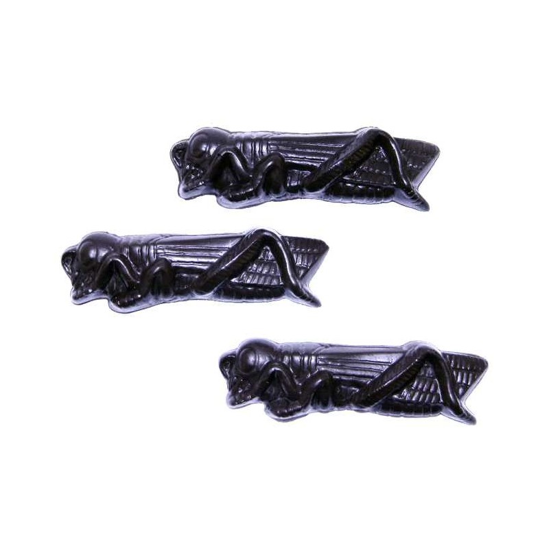 Kosher for Passover Chocolate Locusts | Passover | Judaica