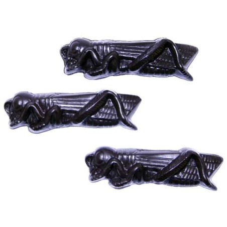 Kosher for Passover Chocolate Locusts | Passover | Judaica