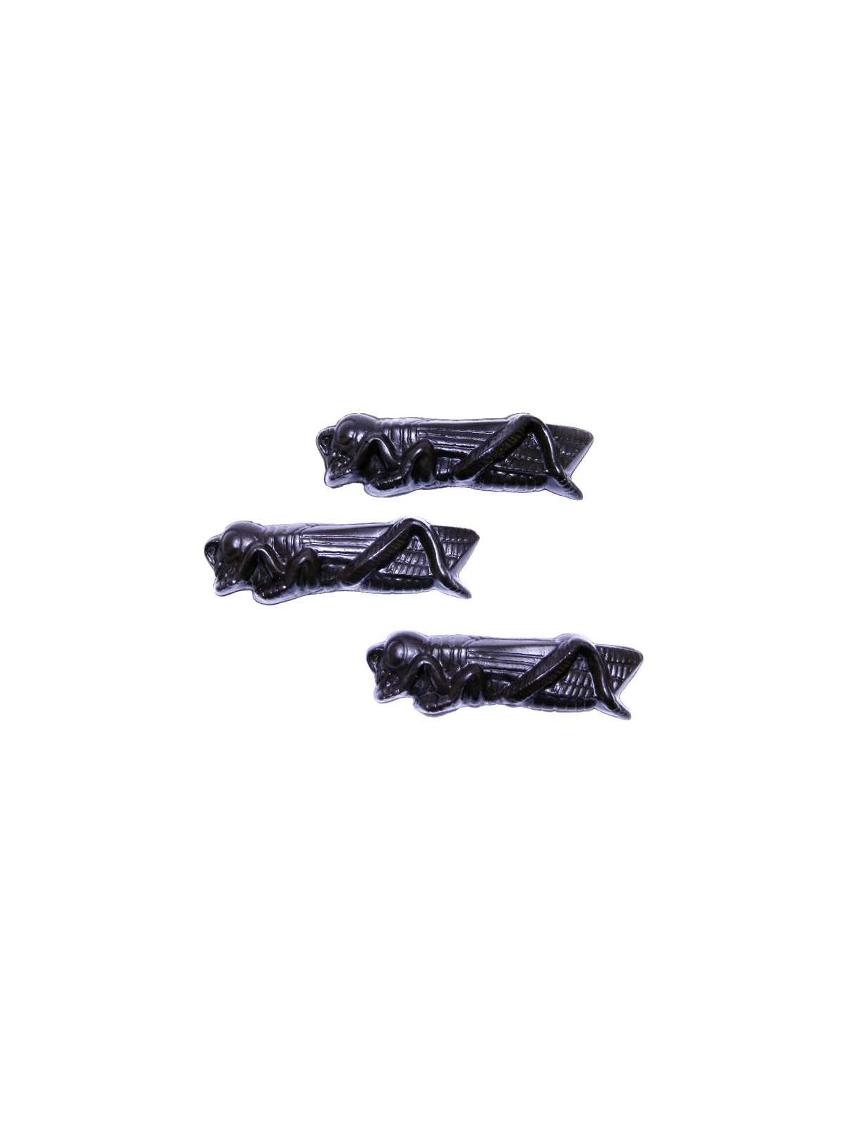 Kosher for Passover Chocolate Locusts | Passover | Judaica