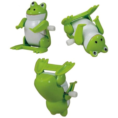 Grenouille backflip | Pâque | Judaïca