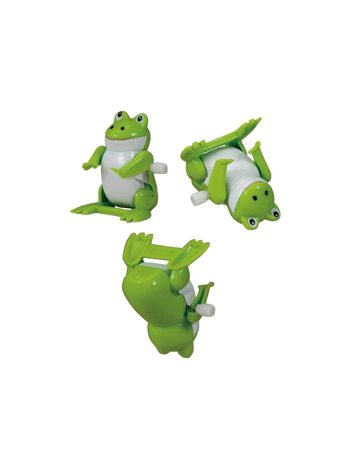 Backflip Frog | Passover | Judaica
