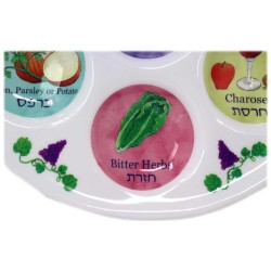 Assiette de Seder multicolore jetable en plastique | Pâque | Judaïca