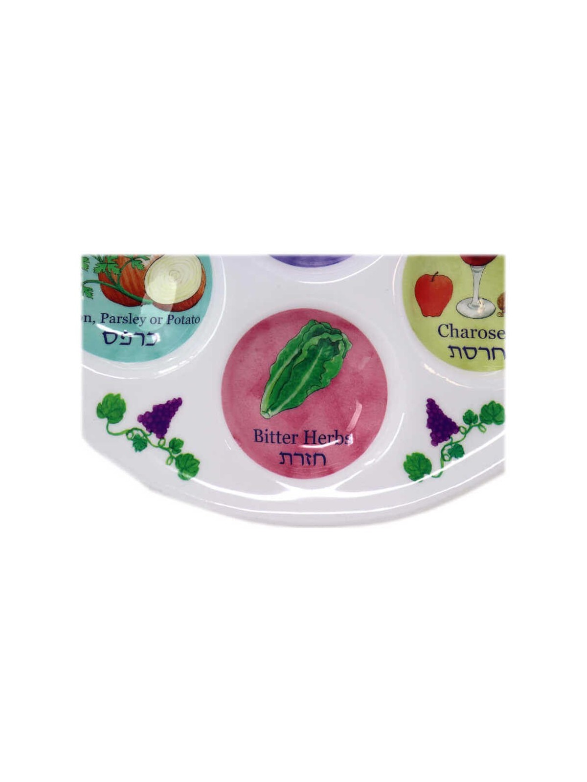 Assiette de Seder multicolore jetable en plastique | Pâque | Judaïca