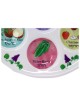 Assiette de Seder multicolore jetable en plastique | Pâque | Judaïca