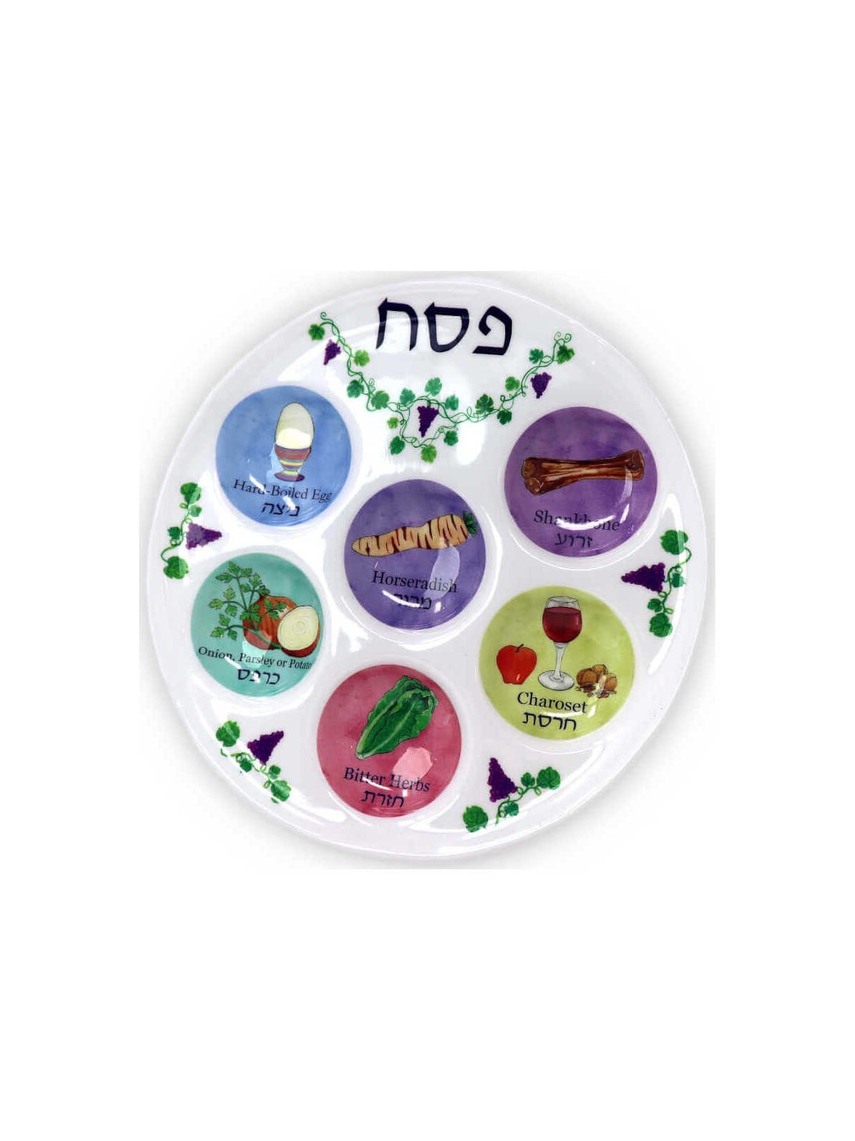 Assiette de Seder multicolore jetable en plastique | Pâque | Judaïca