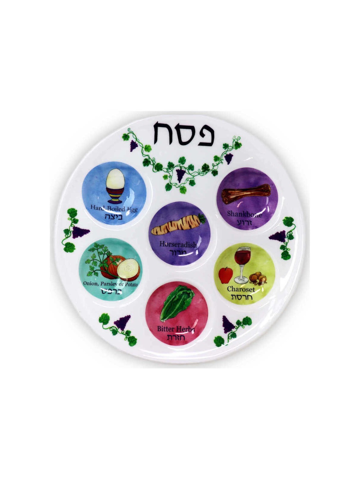 Assiette de Seder multicolore jetable en plastique | Pâque | Judaïca