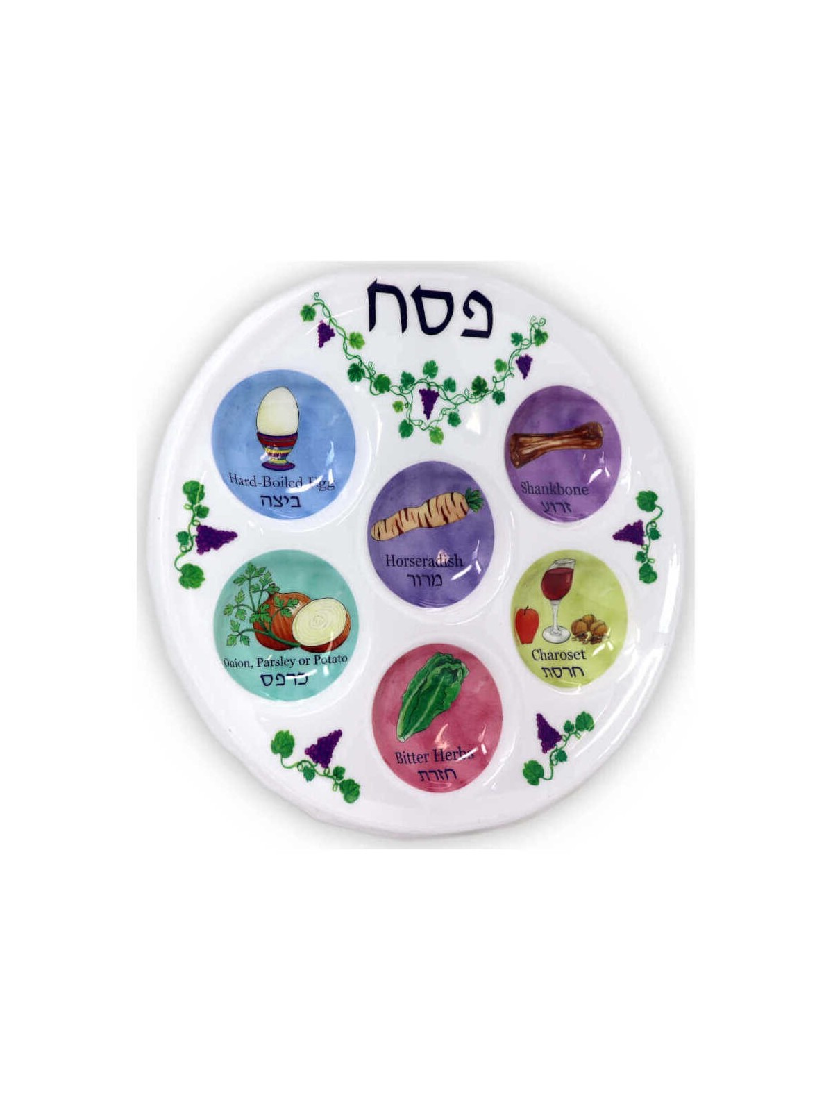 Assiette de Seder multicolore jetable en plastique | Pâque | Judaïca