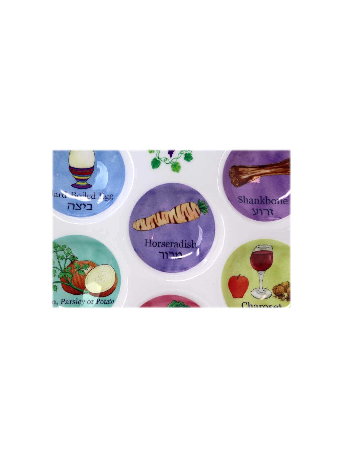 Assiette de Seder multicolore jetable en plastique | Pâque | Judaïca