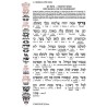 The Family Zemiros: Interlinear (8 Piece Set) | Books | Judaica