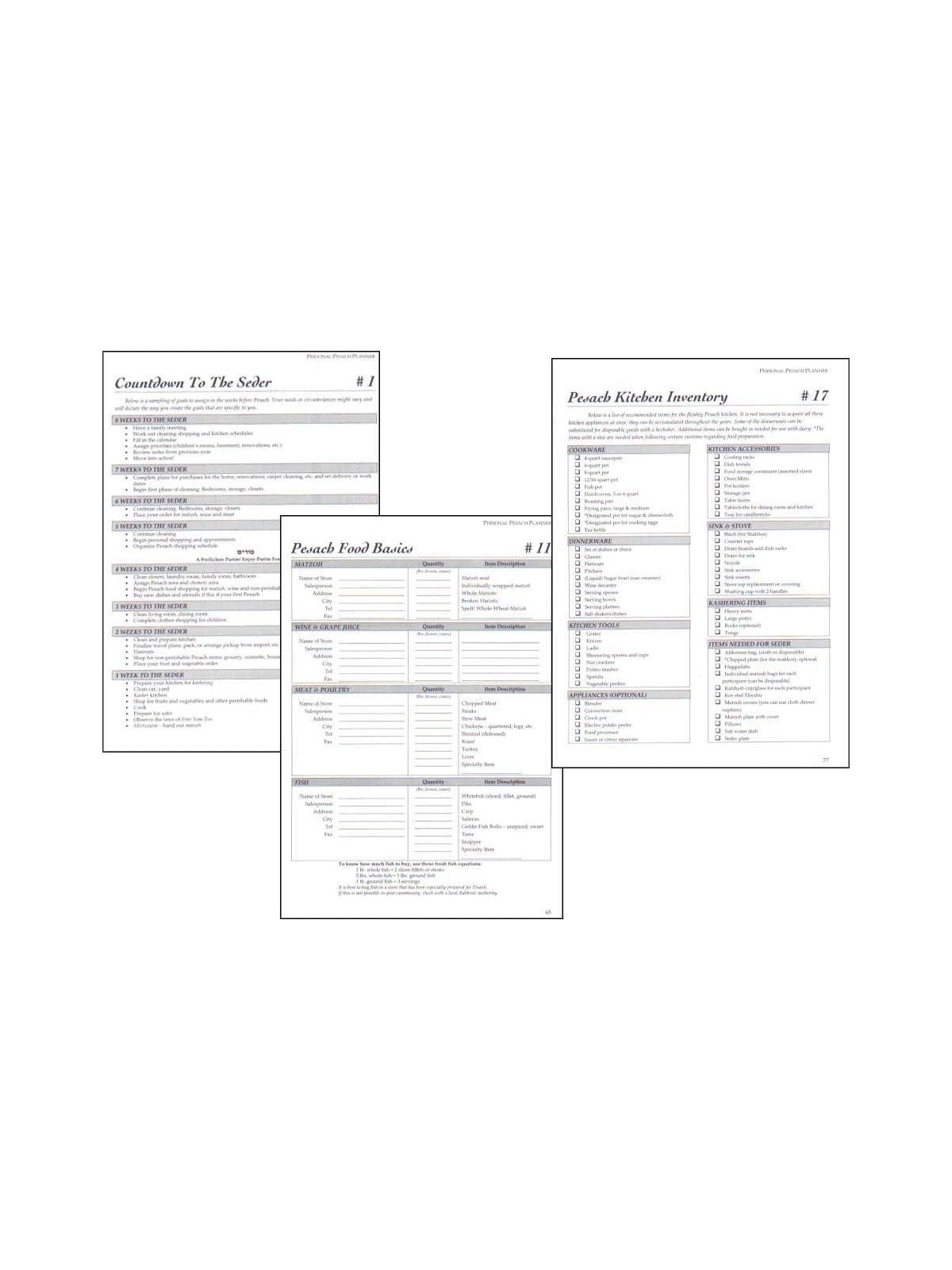 Count Down to the Seder: Personal Pesach Planner | Passover | Judaica