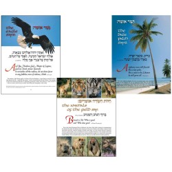 Perek Shirah: The Song of the Universe | Books | Judaica