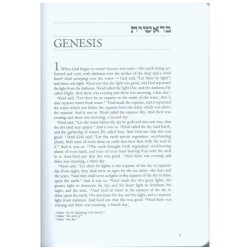JPS Tanakh: The New Translation in English - Red | Books | Judaica