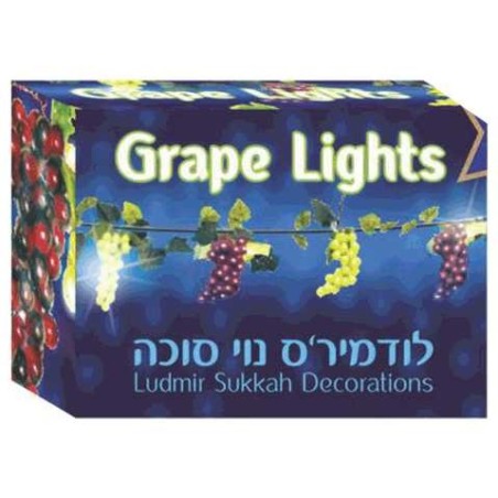 Lumières de raisin Décoration de Soucca | Souccot | Judaïca