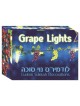 Lumières de raisin Décoration de Soucca | Souccot | Judaïca