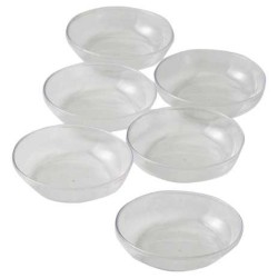Plastic Seder Plate Liners | Passover | Judaica
