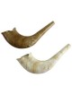 Shofar jouet rond marbré | Roch Hachana | Judaïca