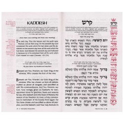 Artscroll Family Haggadah | Passover | Judaica