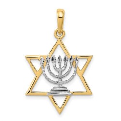 תליון מגן דוד מזהב צהוב 14 קראט עם רודיום | תכשיטים | יוּדָאִיקָה