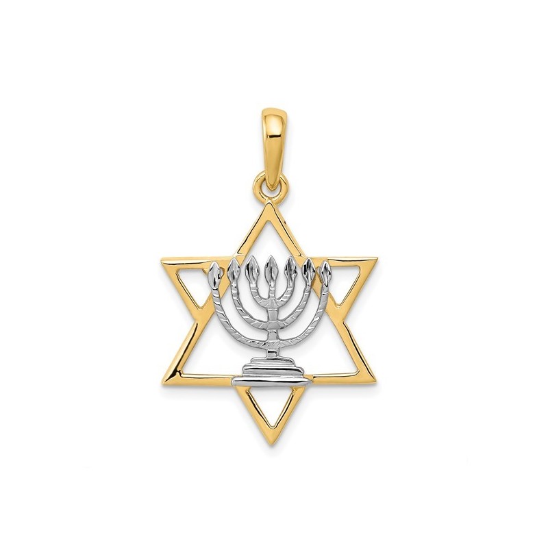 14k Yellow Gold Star Of David Pendant With Rhodium | Jewelry | Judaica