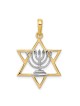 14k Yellow Gold Star Of David Pendant With Rhodium | Jewelry | Judaica