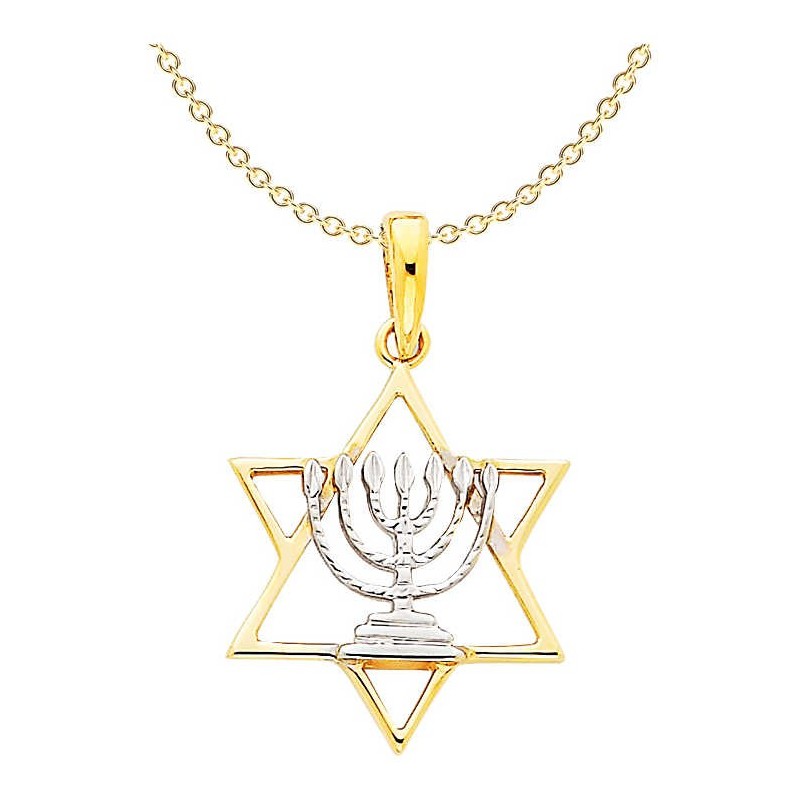 14k Yellow Gold Star Of David Pendant With Rhodium | Jewelry | Judaica