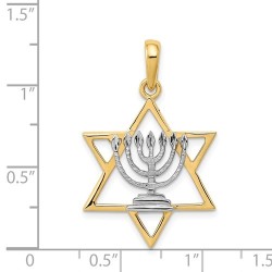 14k Yellow Gold Star Of David Pendant With Rhodium | Jewelry | Judaica