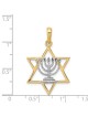 תליון מגן דוד מזהב צהוב 14 קראט עם רודיום | תכשיטים | יוּדָאִיקָה