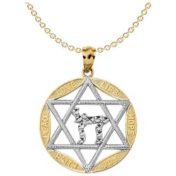 Two-Tone Star of David with Diamond-Cut Chai Circl | Jewelry | Judaica