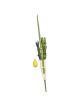 Lulav and Etrog From Israel - No Pitom | Sukkot | Judaica