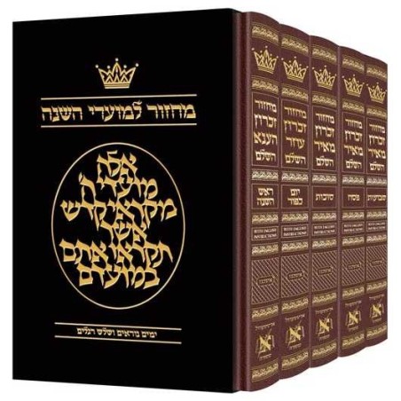 Machzor Hébreu seulement Ashkenaz - Ensemble de 5 volumes - Anglais | Livres | Judaïca