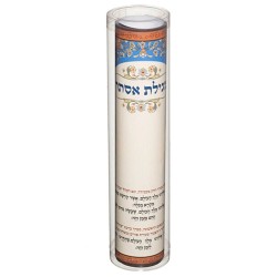 Childrens' Megillah Esther Scroll With Acrylic Hol | Purim | Judaica