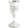 Children Plastic Kiddush Cup | Passover | Judaica