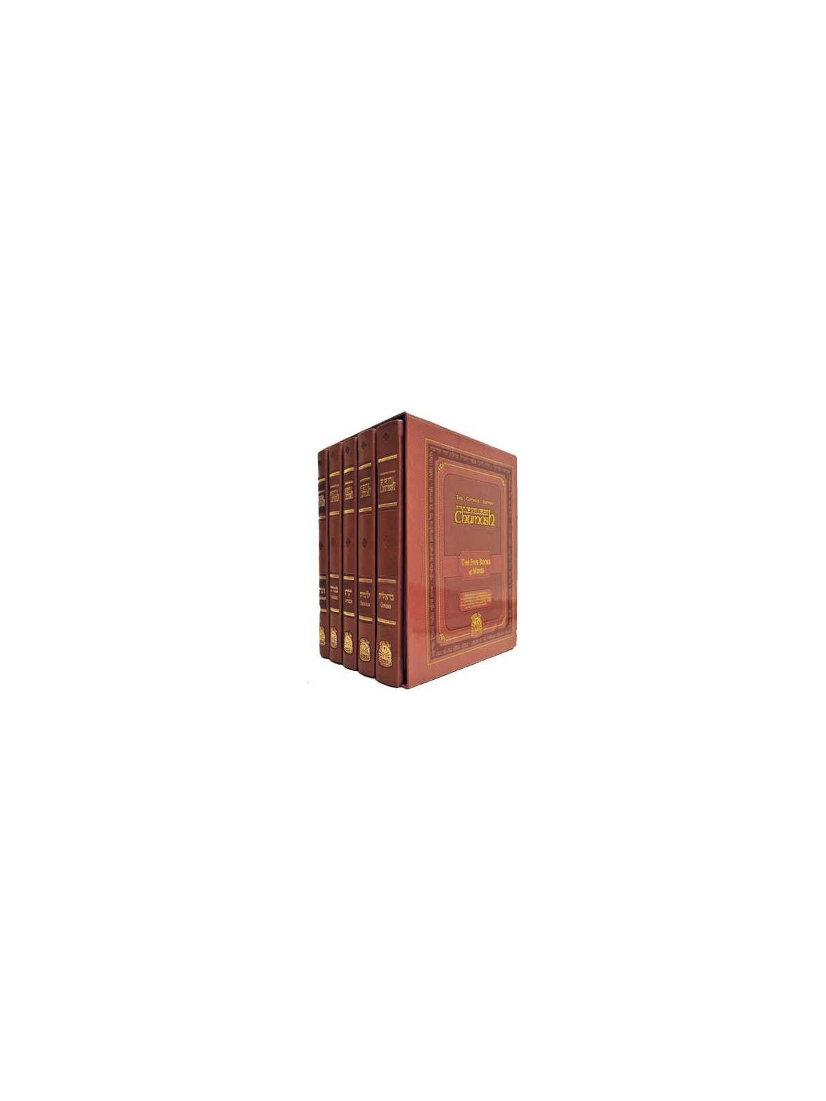 Le Chumash édition Gutnick : ensemble complet | Livres | Judaïca