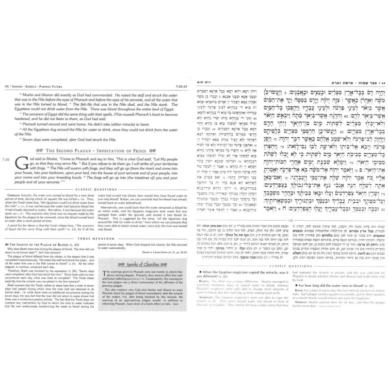 Le Chumash édition Gutnick : ensemble complet | Livres | Judaïca