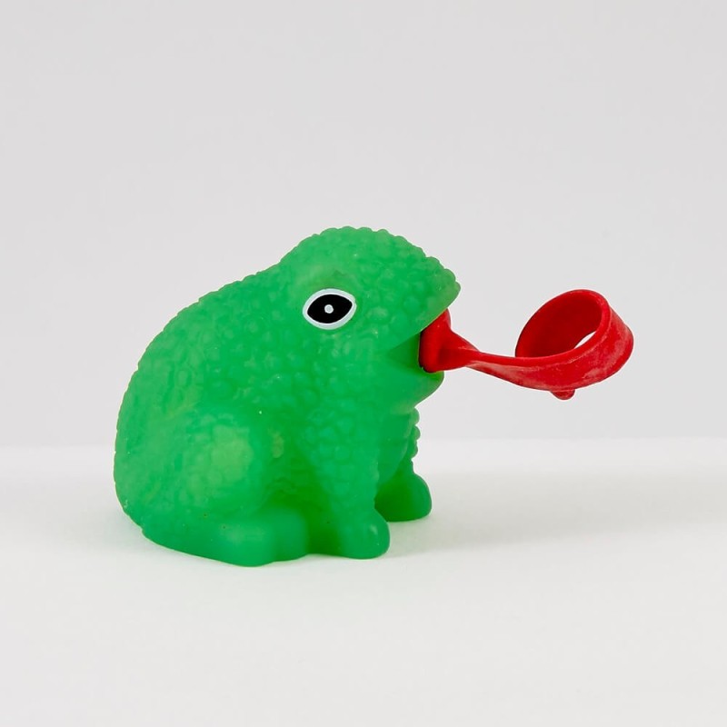 Grenouille amusante de Pâque Frisky | Pâque | Judaïca