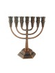 Seven Branch Menorah with Jerusalem Images Bronz... | 7 Branch Menorah